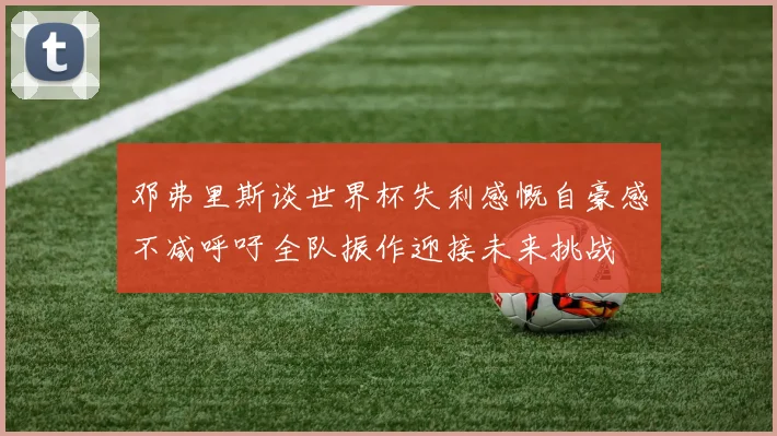 邓弗里斯谈世界杯失利感慨自豪感不减呼吁全队振作迎接未来挑战