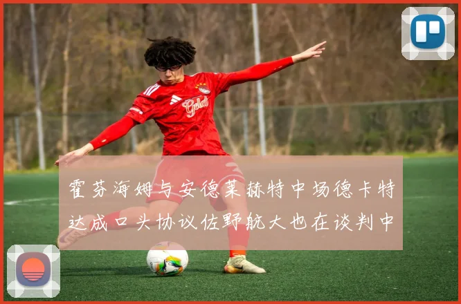 霍芬海姆与安德莱赫特中场德卡特达成口头协议佐野航大也在谈判中