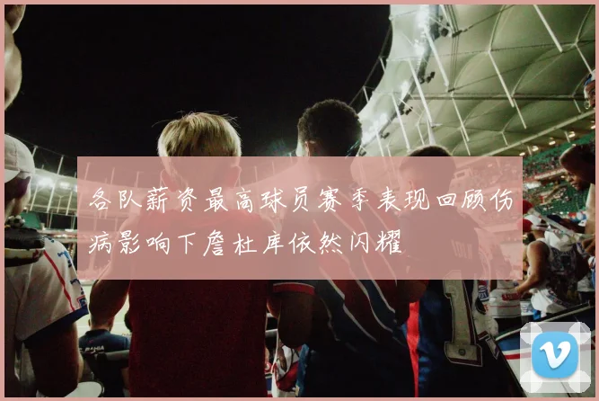 各队薪资最高球员赛季表现回顾伤病影响下詹杜库依然闪耀